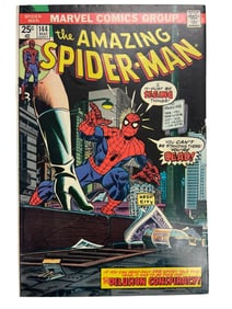 Spider-Man #144 The DELUSION CONSPIRACY! Cover by Gil Kane & John Romita! 1975