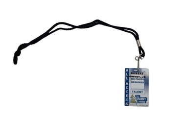 Robert Downey Jr. 2010 52nd Grammy Awards All Access Pass