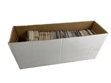 The Punisher Comic Book Long Box