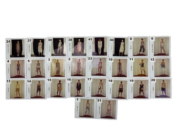 Vintage Polaroid Photo European French English Model Fashion Photographs James Mountford