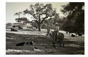 Large Photography Cowboy by Jay Dusard Justin