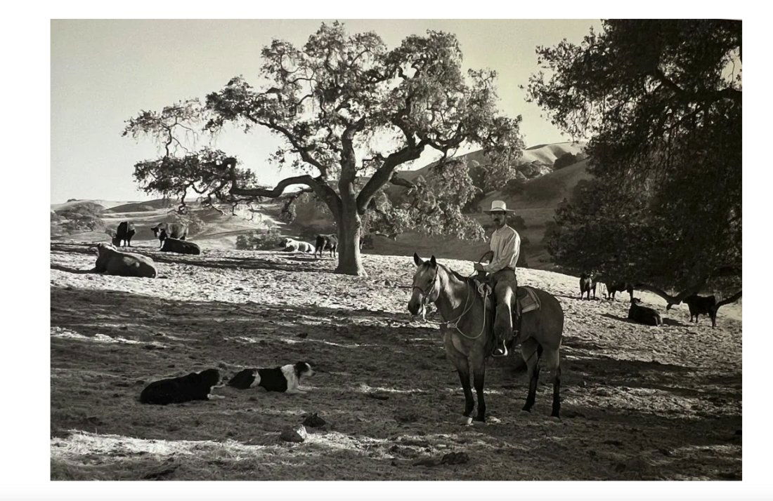 Large Photography Cowboy by Jay Dusard Justin (1 of 7)