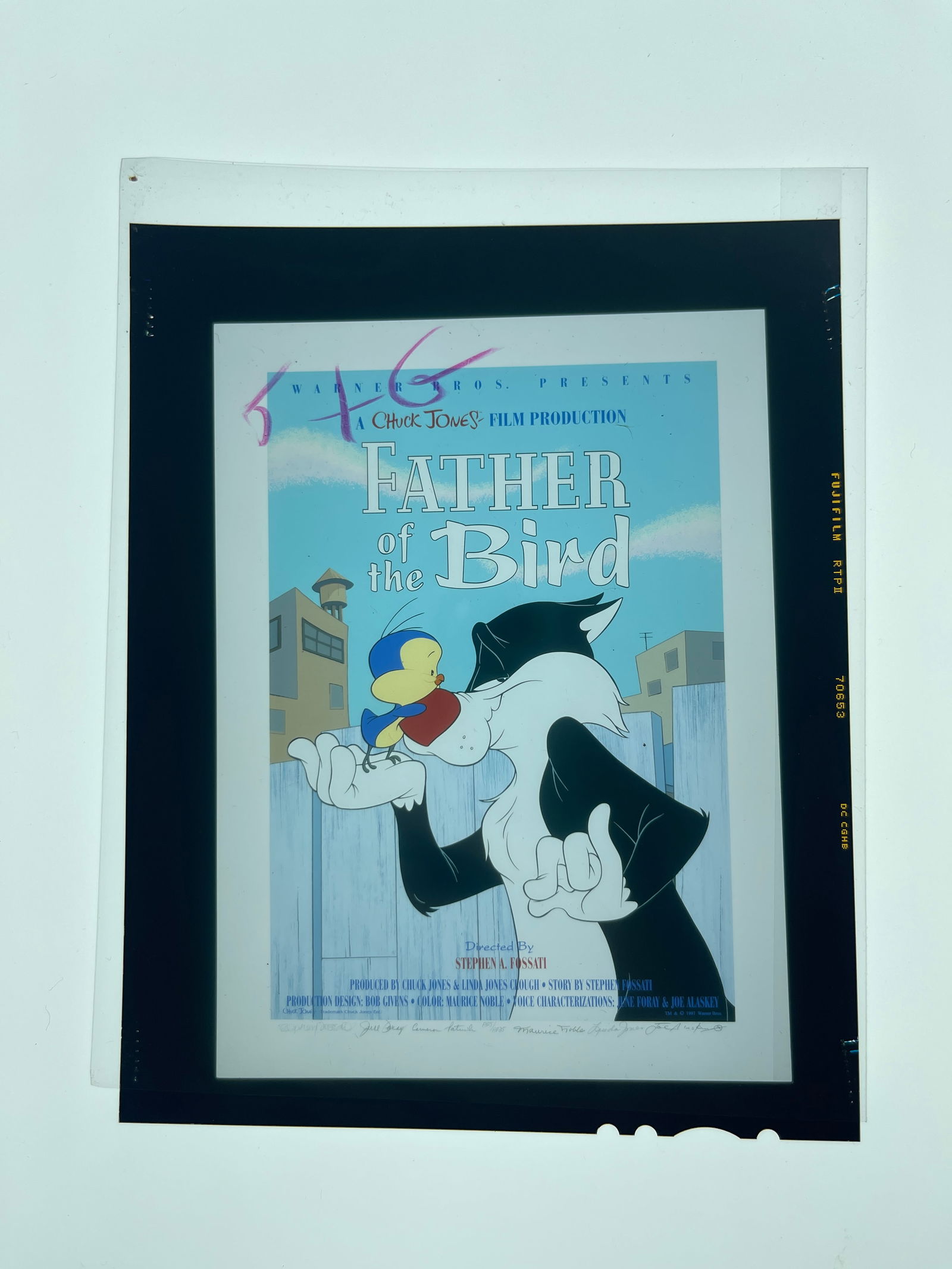 ORIGINAL Warner Bros CEL PROOF PHOTO NEGATIVE FATHER OF THE BIRD (1 of 5)