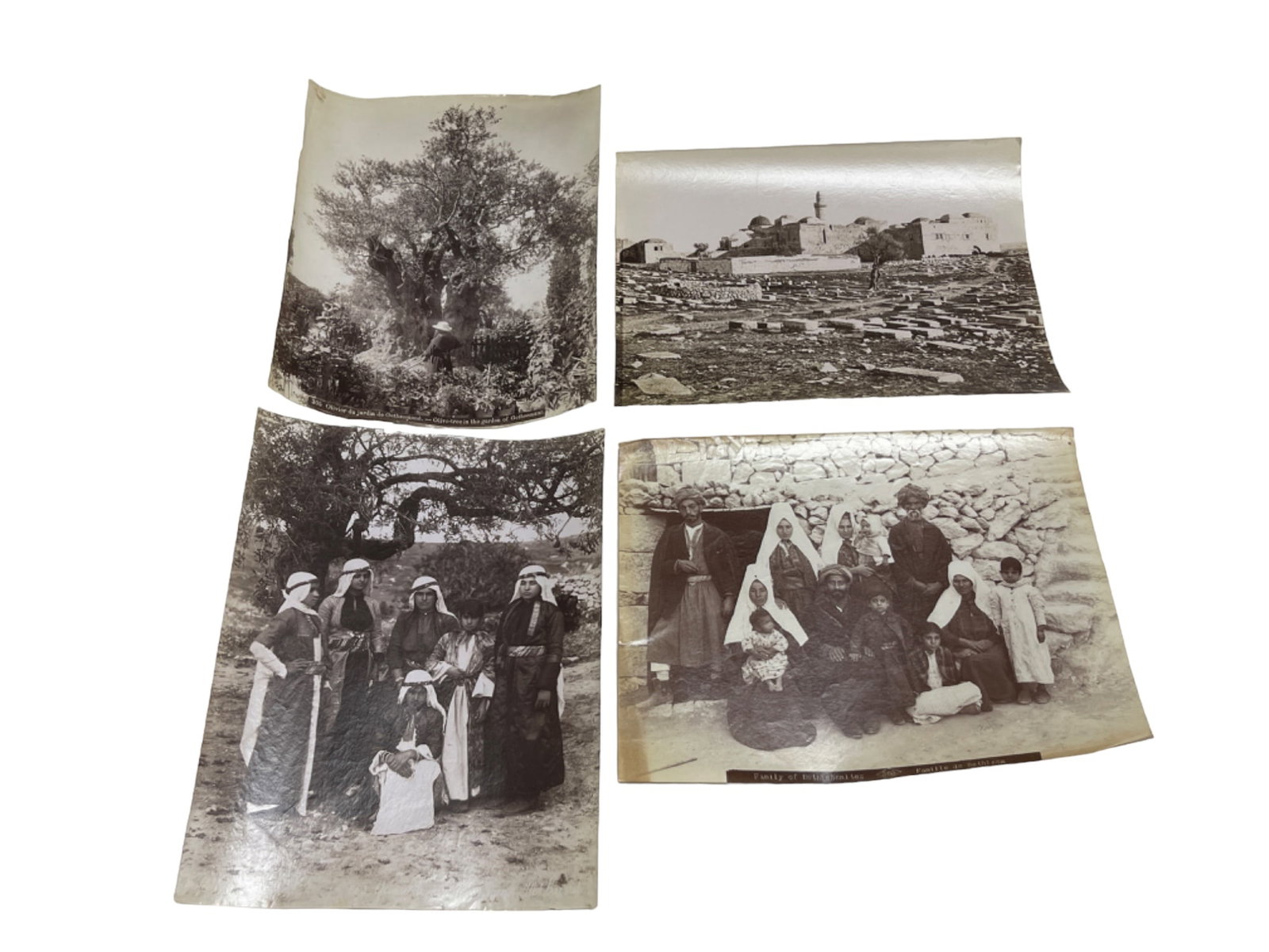 ANTIQUE circa 1880s. Albumen print, 8 3/8 x 11 LOT 4: ANTIQUE circa 1880s. Albumen print, sizes big one 8 3/8 x 11 LOT 4