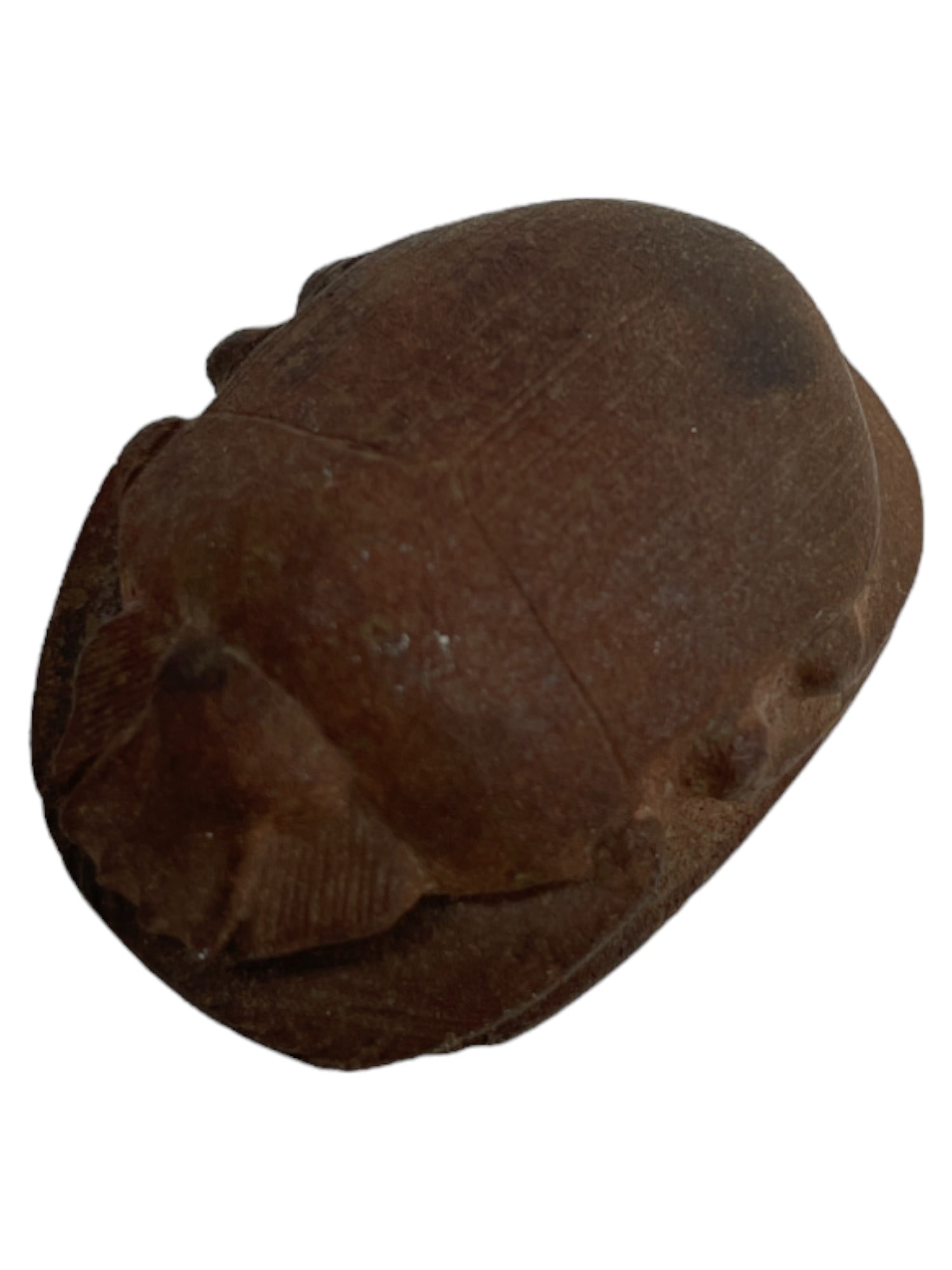 Ancient Egyptian Scarab Beetle Bead Egyptian Large Size (1 of 5)