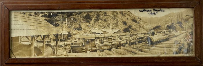 Vintage Southern Pacific 1918 Bayside Lumber Co. Bunnell Logging Photograph