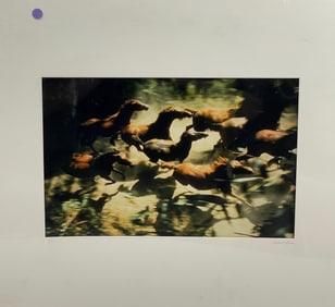 Robert Vavra - Original Pencil Signed and Numbered 6/300 Equestrian Original Photograph