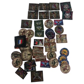 Military Branches Patch French Foreign Legion Unit Patch NATO  LOT 50