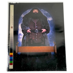 Harry Potter Movie Hagrid Photo Negatives