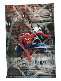 Spiderman Poster Signed by Stan Lee & Tod McFarlane