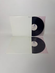 Big Star #1 Record/Radio City & Rod Stewart Every Picture Vinyl Record Test Pressings