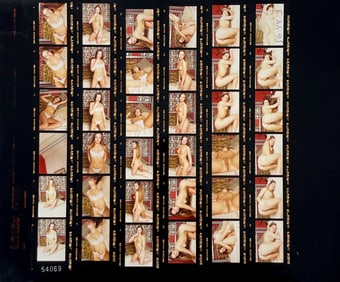 Vintage Pin Up Nude Female Model Photo  Erotic Photographer Adult Contact Sheet