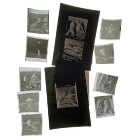 Vintage Pin Up Nude Female Model Photo Negatives French Photograph Serge Jacques Collection Lot 9
