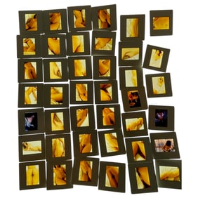 Vintage Photo Pin Up Nude Female Model Photo Negatives  photographer  slides lot 40