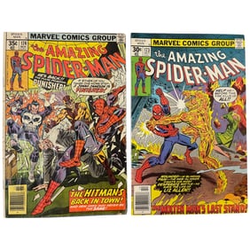 The Amazing Spider-Man #173 & #174 Marvel Comic Books