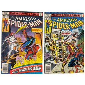 The Amazing Spider-Man #183 & #184 Marvel Comic Books