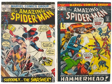 The Amazing Spider-Man #114 & #116 Marvel Comic Books