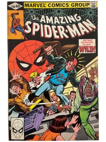 The Amazing Spider-Man #206 Marvel 1980 Comic Book