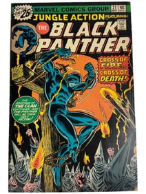 Jungle Action #21 Black Panther Marvel 1976 Comic Book