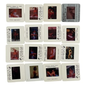 Vintage Pin Up Nude Female Photo Slides Negatives Erotic Lot