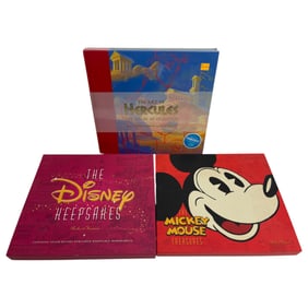 Disney HC Book Collection Lot