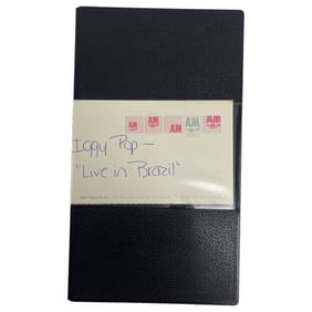 Iggy Pop Live in Brazil Studio Video Concert Recoding