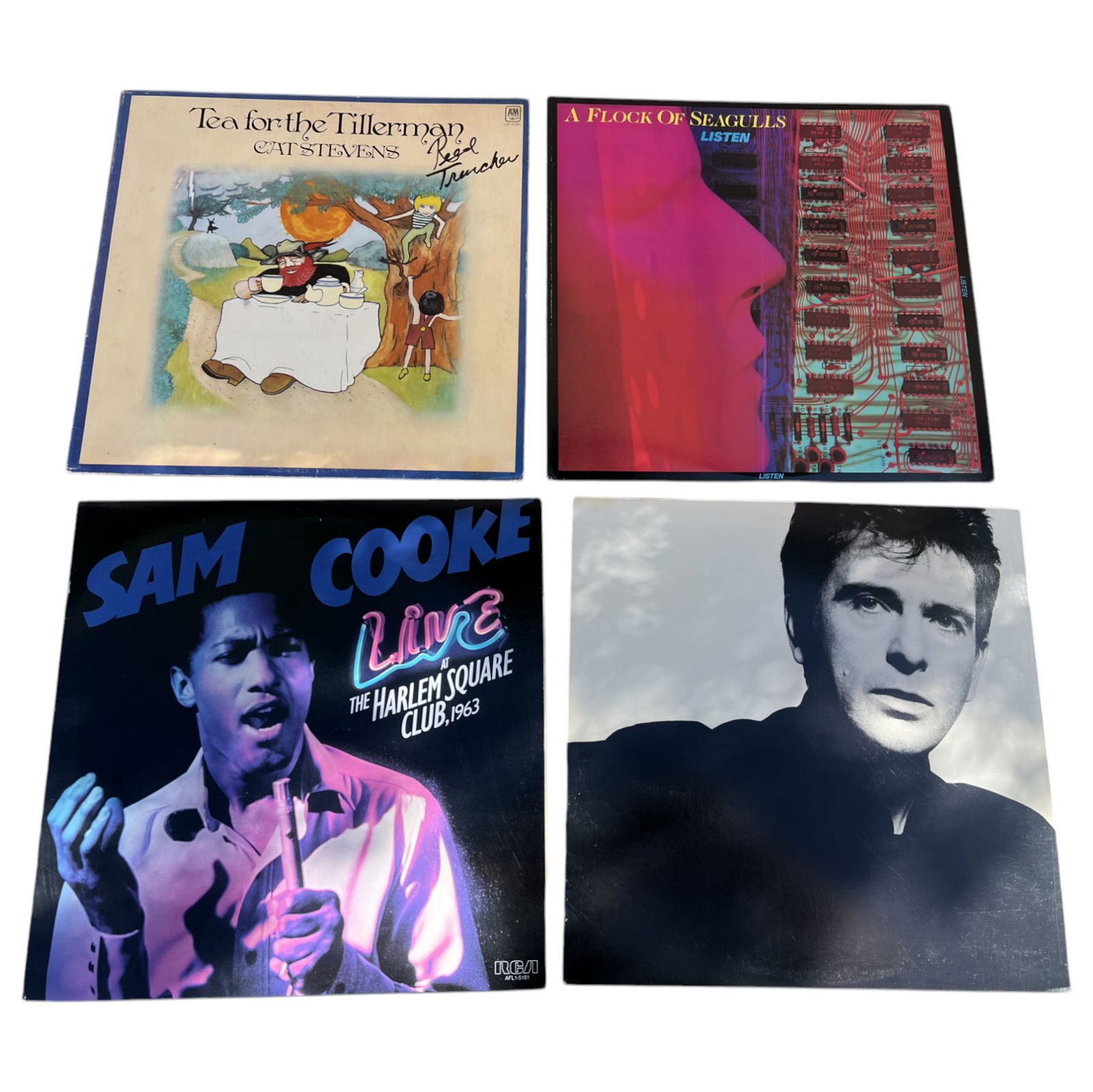 Vintage Vinyl LP Record Collection Lot – Sam Cooke, Peter Gabriel, A Flock of Seagulls, Cat (1 of 3)
