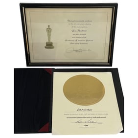 Lee Mishkin – Awards, Diplomas, and Recognitions Lot 2