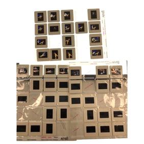 Zena: Mistress of the Universe – Original Bondage Negatives from Movie Production Lot of 44