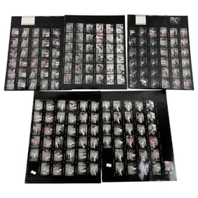 Celebrity Bondage Contact Sheet with Original Negative – Vintage Erotic Magazine/Movie Production
