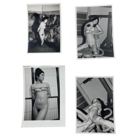 Japanese Erotic Bondage Adult Nude Original Photo Vintage Collecttion