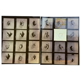 Vintage Burlesque Fetish Male Model Contact Sheet with Original Negatives – 8" x 10" – Burlesque