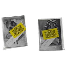 Vintage Erotic Nude Sophia 1950s Bondage 4x5 Photograph Collection 20 photos