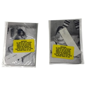 Vintage Erotic Nude Sophia 1950s Bondage 4x5 Photograph Collection 20 photos