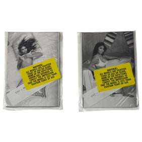 Vintage Erotic Nude Sophia 1950s Bondage 4x5 Photograph Collection 20 photos