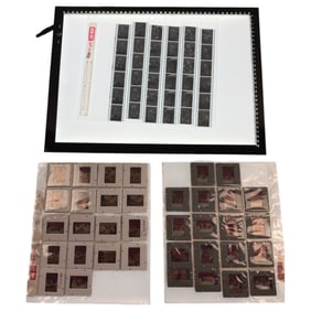 Vintage Erotic Bondage Negatives & Photos