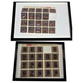 Vintage Erotic Film & Negatives