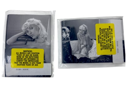 Vintage Erotic Nude Susie late 80s early 90 Bondage 4x5 Photograph Collection  20 photos