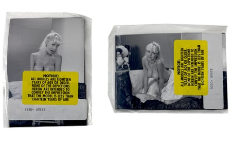 Vintage Erotic Nude Susie late 80s early 90 Bondage 4x5 Photograph Collection  20 photos