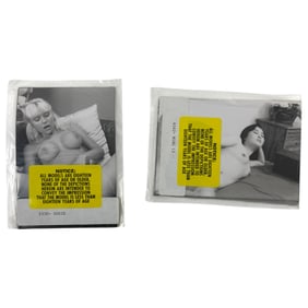 Vintage Erotic Nude Ming Li & Susie  4x5 Photograph Collection   20 photos