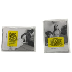 Vintage Erotic Nude Ming Li 4x5 Photograph Collection 20 photos