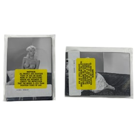 Vintage Erotic Nude Susie  4x5 Photograph Collection  20 photos