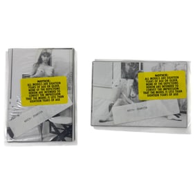 Vintage Erotic Nude Juanita 4x5 Photograph Collection  20 photos