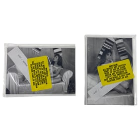 Vintage Erotic Nude Sophia 4x5 Photograph Collection  20 photos