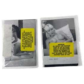 Vintage Erotic Nude  4x5 Photograph Collection  20 photos