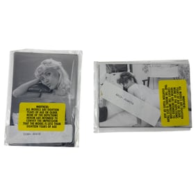 Vintage Erotic Nude 4x5 Photograph Collection  20 photos