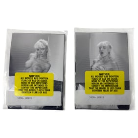 Vintage Erotic Nude  4x5 Photograph Collection  20 photos