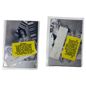 Vintage Erotic Nude Natasha an sophia late 80s early 90 Bondage 4x5 Photograph Collection