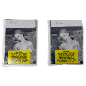 Vintage Erotic Nude Deja Bleu late 80s early 90 Bondage 4x5 Photograph Collection