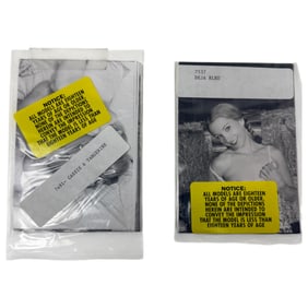 Vintage Erotic Nude Deja Bleu an Cassie & Tangerine 4x5 Photograph  20 photos